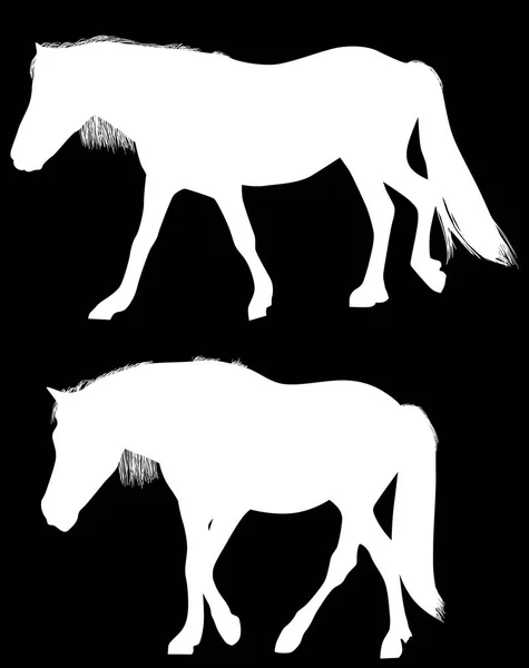 Ilustrace Dvěma Koňmi Izolované Černém Pozadí — Stockový vektor