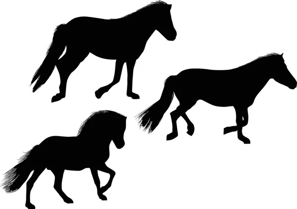 Ilustrasi Dengan Tiga Kuda Yang Terisolasi Dengan Latar Belakang Putih - Stok Vektor