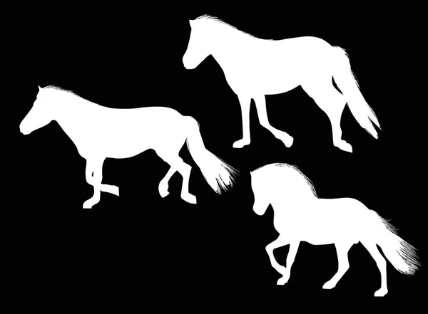 Ilustrasi Dengan Tiga Kuda Yang Terisolasi Dengan Latar Belakang Hitam - Stok Vektor