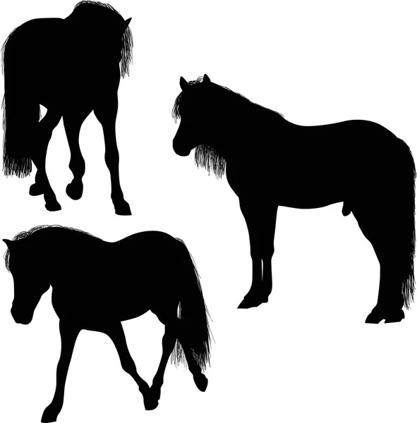 Ilustração Com Três Cavalos Isolados Sobre Fundo Branco — Vetor de Stock