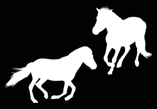 Ilustração Com Dois Cavalos Isolados Sobre Fundo Preto —  Vetores de Stock