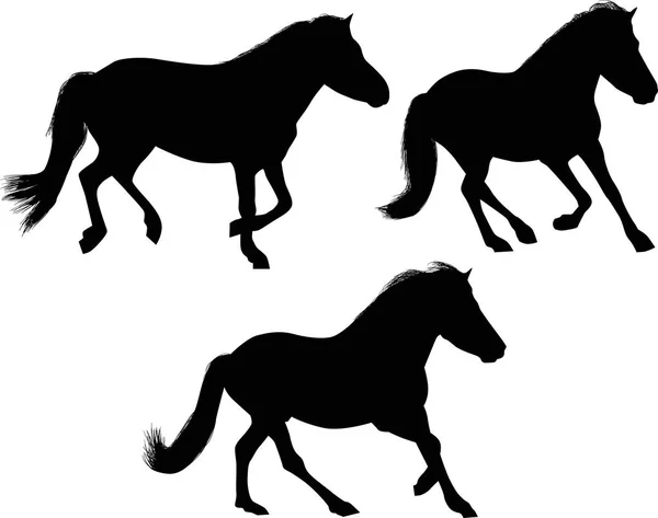 Ilustração Com Três Cavalos Isolados Sobre Fundo Branco —  Vetores de Stock