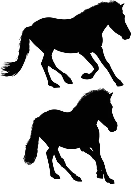 Ilustración Con Dos Caballos Aislados Sobre Fondo Blanco — Vector de stock