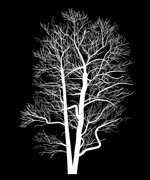 Illustration Bare Tree Isolated Black Background — Stock Vector