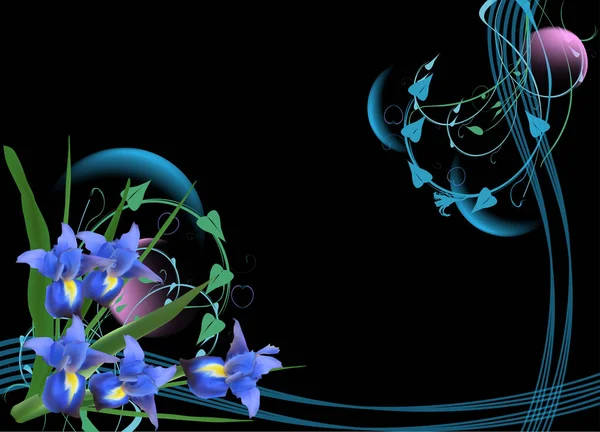 Illustration Mit Irisisblüten Auf Schwarzem Hintergrund — Stockvektor