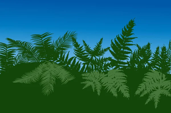 背景が緑のシダの図 — ストックベクタ