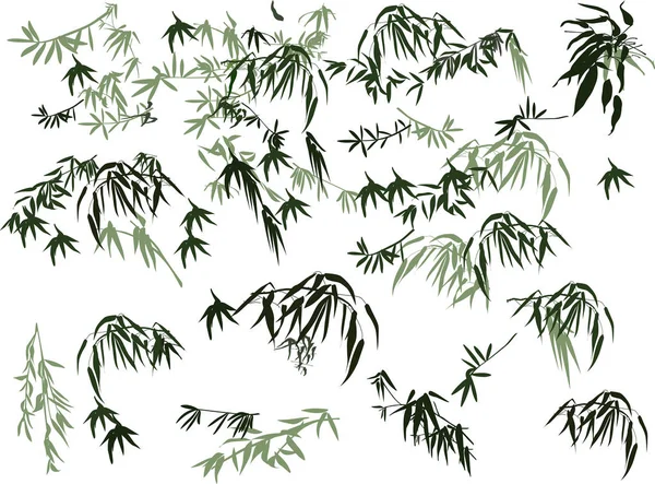 Illustration Med Bambu Samling Vit Bakgrund — Stock vektor