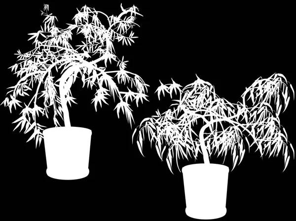 Illustration White Bamboo Silhouettes Pots Isolated Black Background — Stock Vector