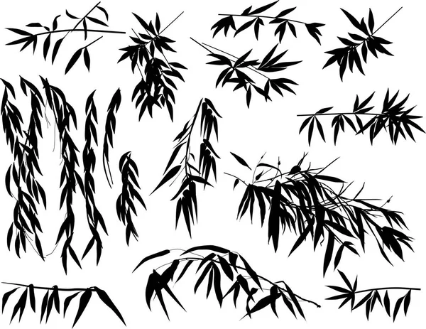 Ilustracja Bambusową Kolekcją Białym Tle — Wektor stockowy