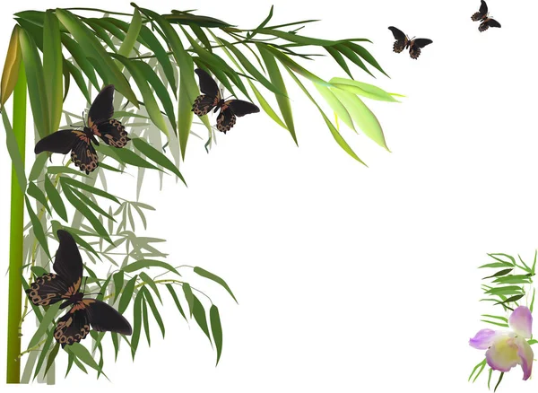 Illustration Green Bamboo Corner Adn Brown Butterflies — Stock Vector