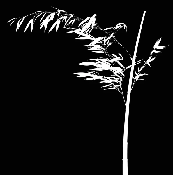Illustration Avec Branche Bambou Blanc Isolé Sur Fond Noir — Image vectorielle