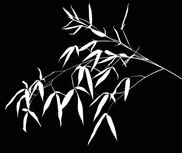 Illustratie Met Witte Bamboe Tak Geïsoleerd Zwarte Achtergrond — Stockvector