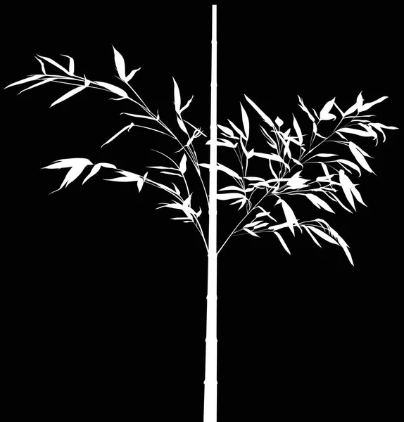 Иллюстрация Белой Бамбуковой Веткой Изолированной Черной Поверхности — стоковый вектор