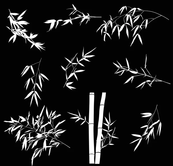 Illustration Bamboo Branches Collection Black Background — Stock Vector