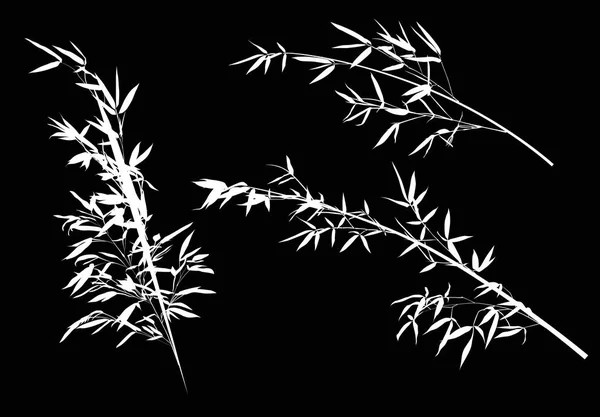 Illustration Avec Collection Branches Bambou Sur Fond Noir — Image vectorielle