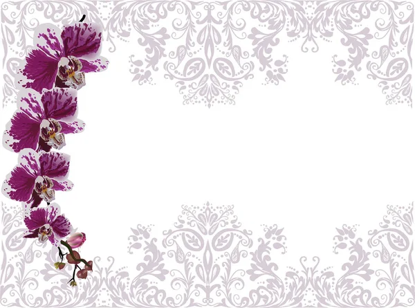 Illust Con Orquídeas Púrpuras Decoración Floral Lila — Vector de stock