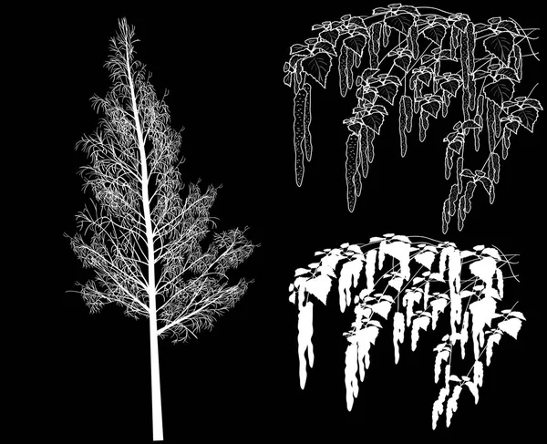 Illustrazione Con Rami Betulla Primaverile Schizzo Isolato Sfondo Nero — Vettoriale Stock