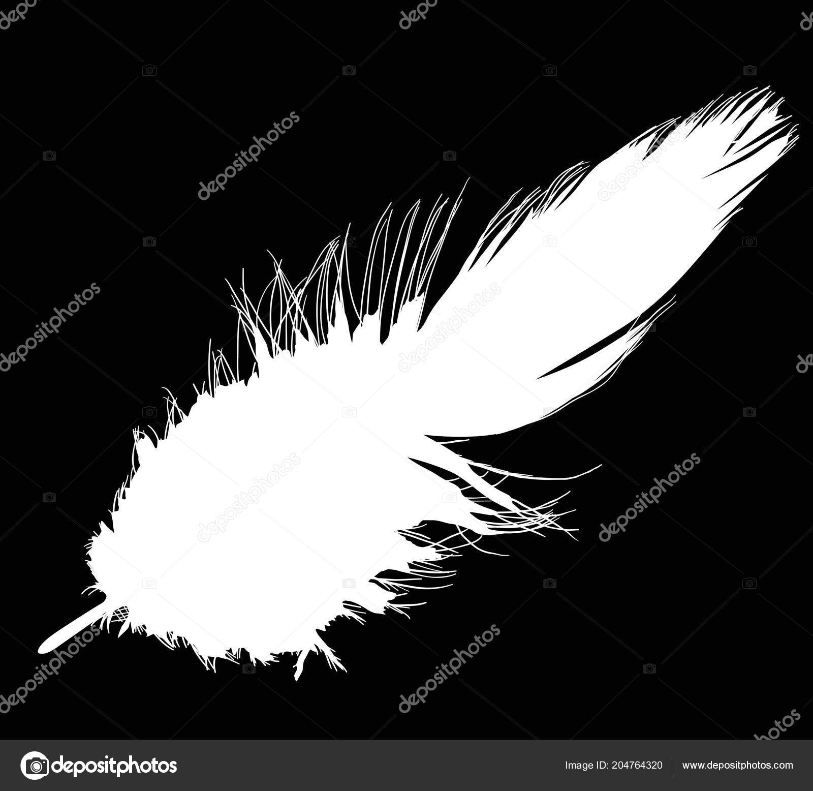Illustration Single White Feather Black Background Stock Vector by ©Dr