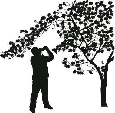 Beyaz arka planda izole çiçek ağacı yakın fotoğrafçı ile illüstrasyon