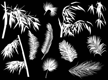 siyah arka plan üzerine izole siluetleri ile illüstrasyon şubeleri