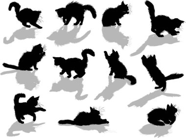 Beyaz arkaplanda izole kedi koleksiyonuna sahip illüstrasyon