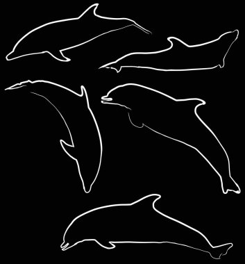 illüstrasyon izole siyah arka plan üzerine yunuslar koleksiyonu ile