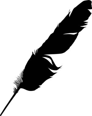 Beyaz arkaplanda tek siyah tüy ile illüstrasyon