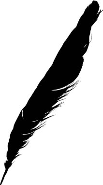 Beyaz arkaplanda tek siyah tüy ile illüstrasyon