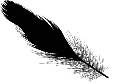 Beyaz arkaplanda tek siyah tüy ile illüstrasyon