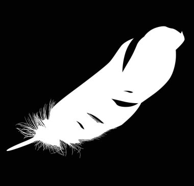 Siyah arkaplanda tek beyaz tüy ile illüstrasyon