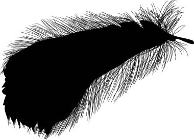 Beyaz arkaplanda tek siyah tüy ile illüstrasyon