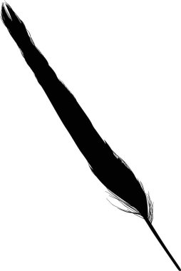 Beyaz arkaplanda tek siyah tüy ile illüstrasyon