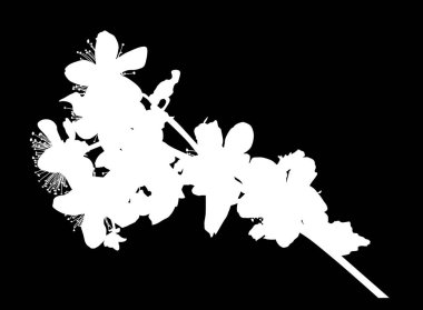 Siyah arkaplanda yabani çiçek siluetine sahip bir resim