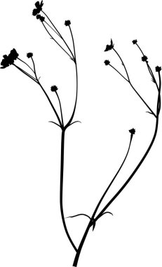 Beyaz arkaplanda yabani çiçek siluetine sahip illüstrasyon
