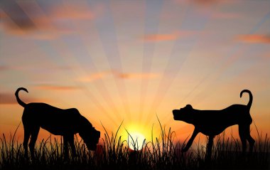 gün batımında köpek siluetleri çim ile illüstrasyon
