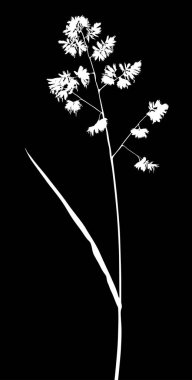 bitki siluet siyah arka plan üzerine izole ile illüstrasyon