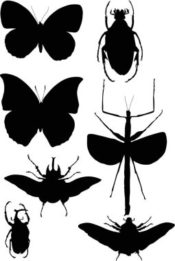 illüstrasyon izole beyaz arka plan üzerinde böcek koleksiyonu ile