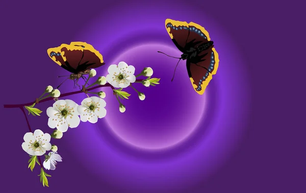 春木白開花枝と黒い蝶の図 — ストックベクタ