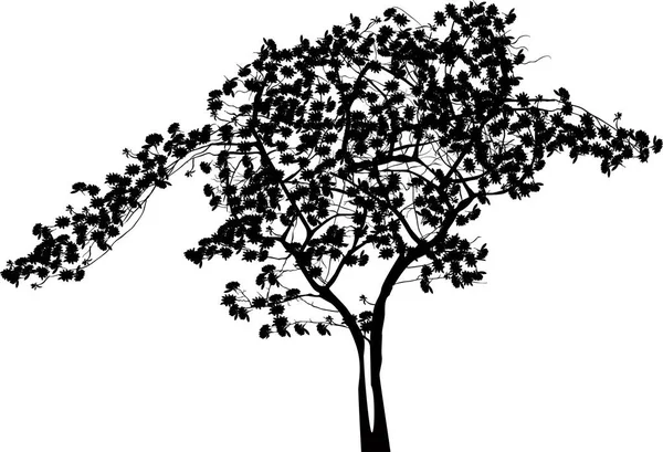 Illustrazione Con Fiore Albero Nero Isolato Sfondo Bianco — Vettoriale Stock