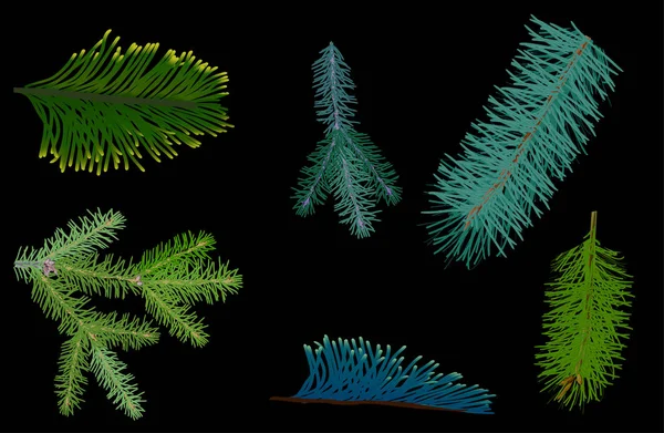 黒の背景に分離された緑の針葉樹の枝のイラスト — ストックベクタ