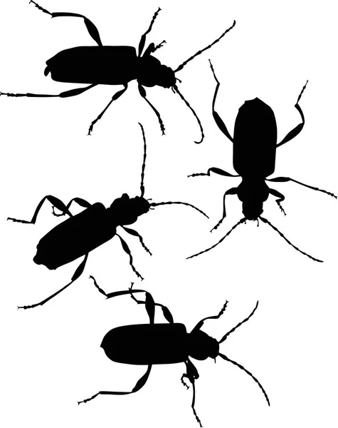 Illustratie Met Set Van Zwarte Bug Silhouetten Geïsoleerd Witte Achtergrond — Stockvector