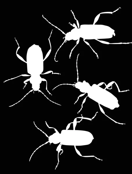 Illustration Set White Bug Silhouettes Isolated Black Background — Stock Vector