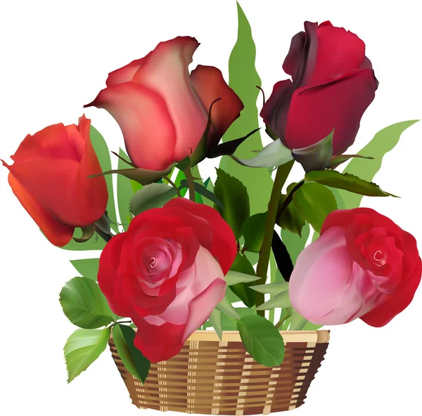 Illustration Avec Des Roses Rouges Dans Panier Isolé Sur Fond — Image vectorielle