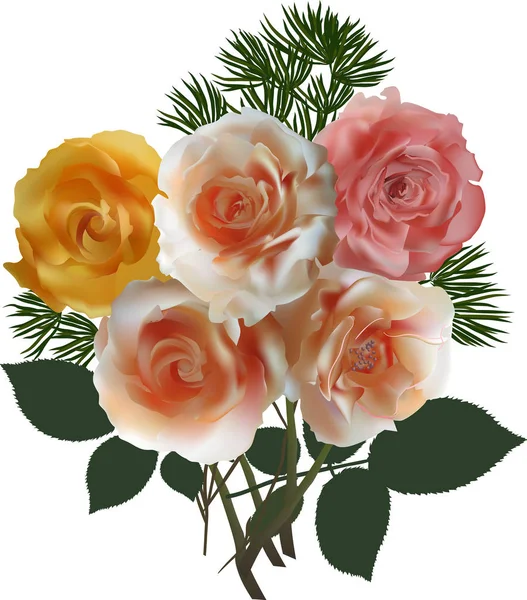 Kuva Nippu Ruusun Kukkia Eristetty Valkoisella Taustalla — vektorikuva
