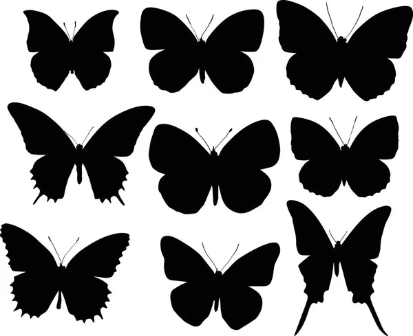 Illustration Avec Silhouettes Papillon Collection Isolée Sur Fond Blanc — Image vectorielle