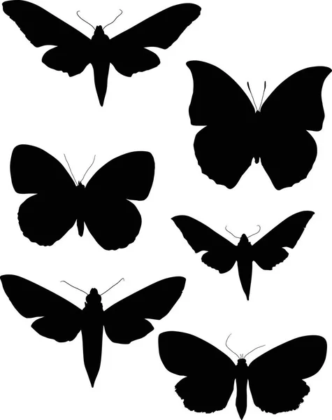 Ilustración Con Colección Siluetas Mariposa Aislada Sobre Fondo Blanco — Vector de stock