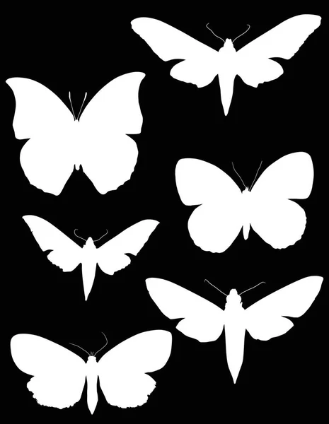 Ilustrace Motýlí Siluety Kolekce Izolované Černém Pozadí — Stockový vektor