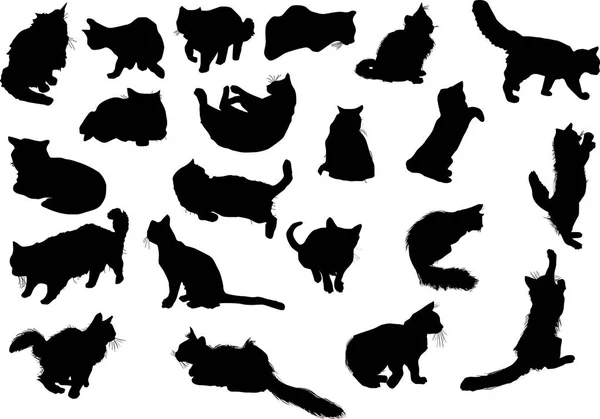 Illustration Cat Collection Isolated White — Stock Vector