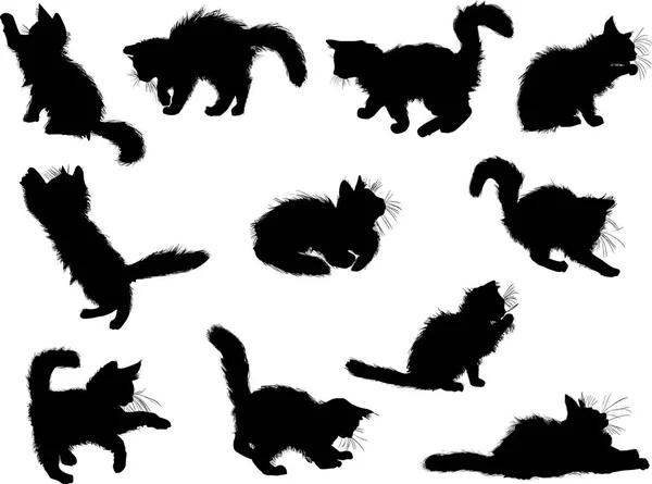 Ilustração Com Coleção Gatos Isolada Fundo Branco — Vetor de Stock