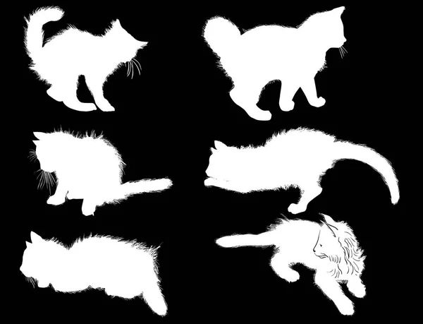 Ilustración Con Colección Del Gato Aislado Negro — Archivo Imágenes Vectoriales